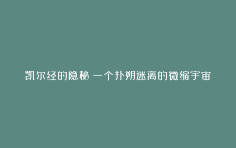 凯尔经的隐秘：一个扑朔迷离的微缩宇宙