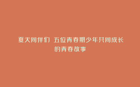 《夏天同伴们》：五位青春期少年共同成长的青春故事