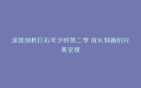 深度剖析巨石年少时第二季：成长刻画的完美呈现