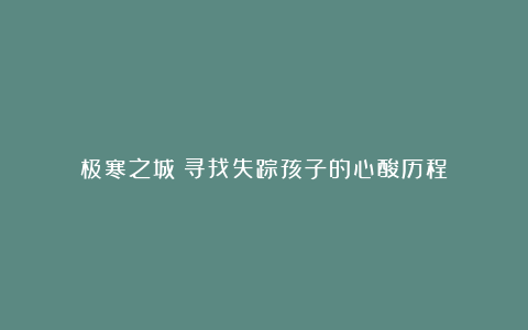 极寒之城：寻找失踪孩子的心酸历程