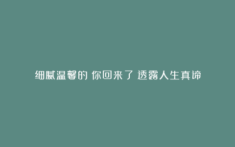 细腻温馨的《你回来了》透露人生真谛