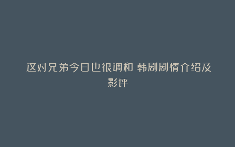 《这对兄弟今日也很调和》韩剧剧情介绍及影评