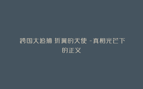 《跨国大追捕:折翼的天使》-真相光芒下的正义