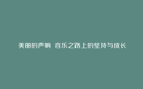 《美丽的声响》：音乐之路上的坚持与成长