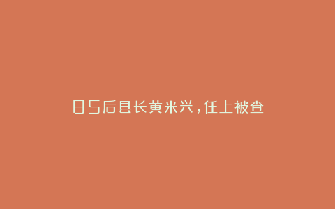 85后县长黄来兴，任上被查