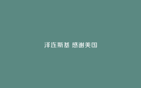 泽连斯基：感谢美国