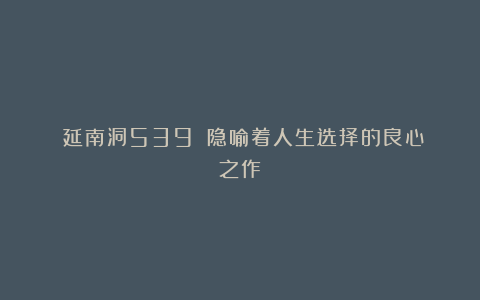 《延南洞539》:隐喻着人生选择的良心之作
