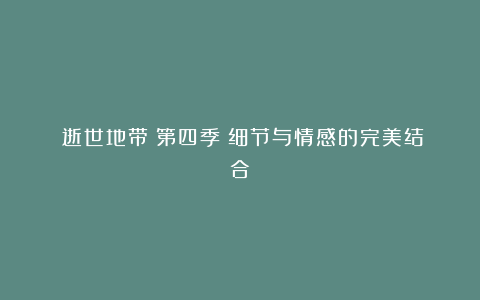 《逝世地带》第四季：细节与情感的完美结合