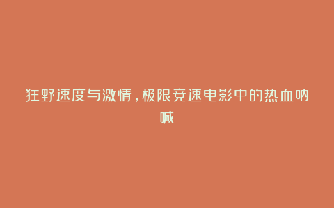 狂野速度与激情，极限竞速电影中的热血呐喊