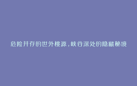 危险并存的世外桃源，峡谷深处的隐藏秘境