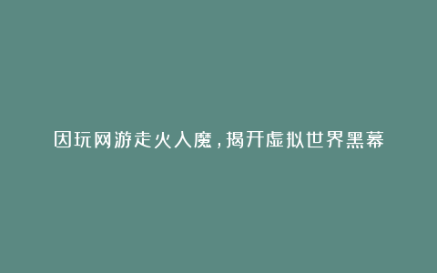 因玩网游走火入魔，揭开虚拟世界黑幕