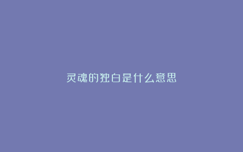 灵魂的独白是什么意思