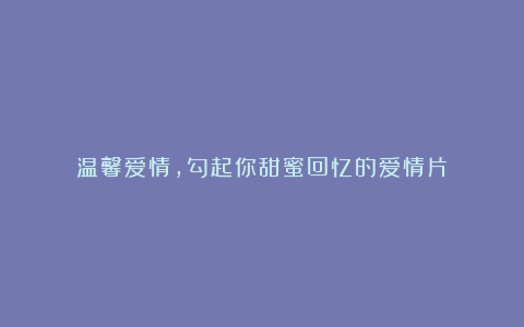 温馨爱情,勾起你甜蜜回忆的爱情片