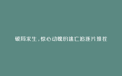 破局求生,惊心动魄的逃亡追逐片推荐
