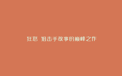 《狂怒》：狙击手故事的巅峰之作