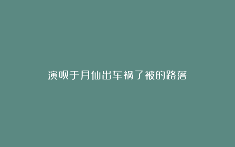 演员于月仙出车祸了被的路落