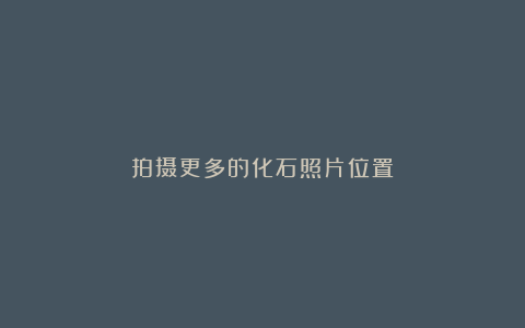 拍摄更多的化石照片位置