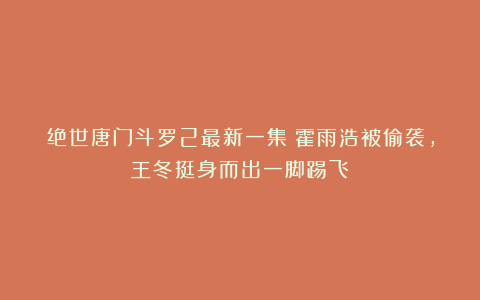 绝世唐门斗罗2最新一集:霍雨浩被偷袭,王冬挺身而出一脚踢飞
