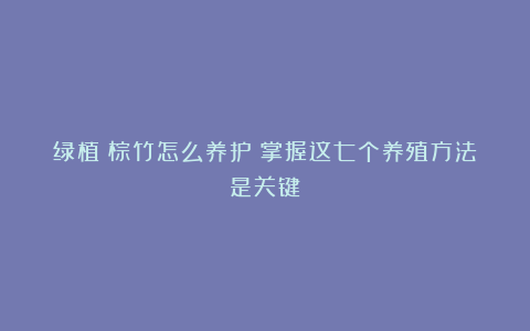 绿植丨棕竹怎么养护?掌握这七个养殖方法是关键!