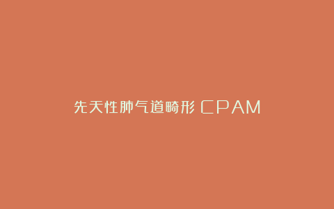 先天性肺气道畸形(CPAM)
