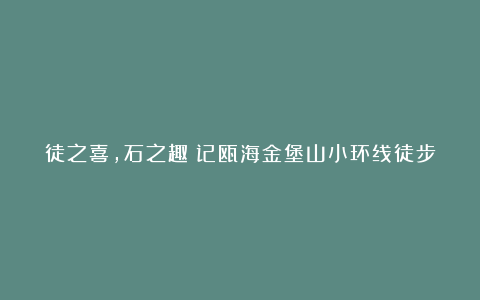 徒之喜,石之趣|记瓯海金堡山小环线徒步