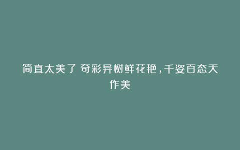 简直太美了！奇彩异树鲜花艳，千姿百态天作美