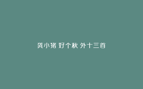 龚小猪：好个秋（外十三首）