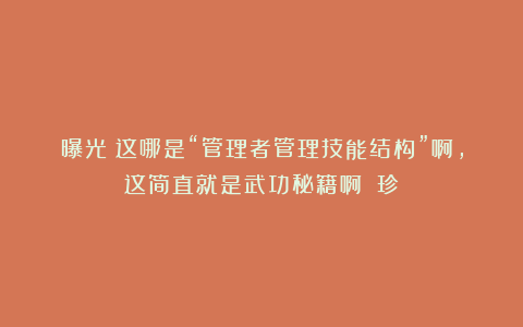 曝光：这哪是“管理者管理技能结构”啊，这简直就是武功秘籍啊！（珍