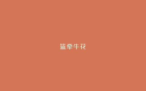 篮牵牛花