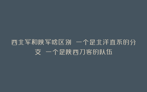 西北军和陕军啥区别 一个是北洋直系的分支 一个是陕西刀客的队伍