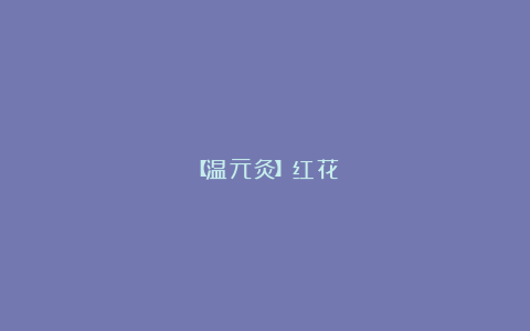 【温元灸】红花