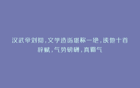 汉武帝刘彻，文学造诣堪称一绝，读他十首辞赋，气势磅礴，真霸气