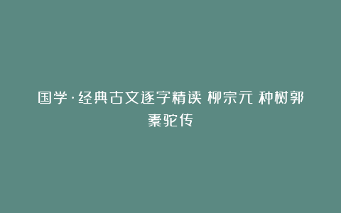 国学·经典古文逐字精读｜柳宗元《种树郭橐驼传》
