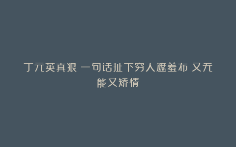 丁元英真狠！一句话扯下穷人遮羞布：又无能又矫情