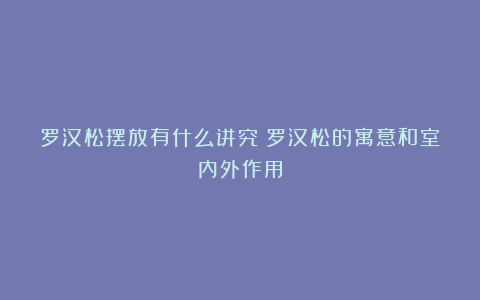 罗汉松摆放有什么讲究？罗汉松的寓意和室内外作用