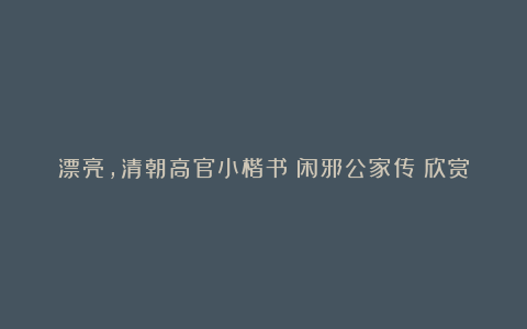 漂亮,清朝高官小楷书《闲邪公家传》欣赏