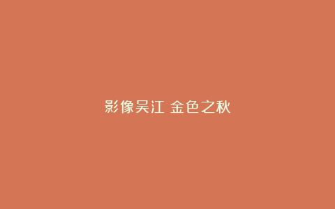 影像吴江:金色之秋