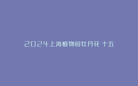 2024上海植物园牡丹花（十五）