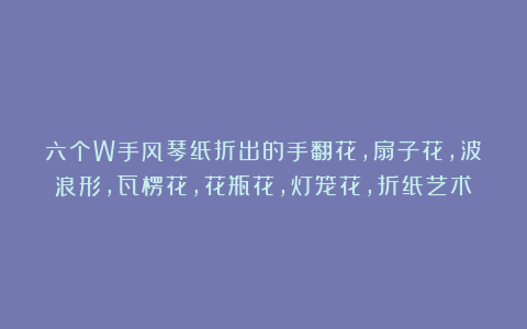 六个W手风琴纸折出的手翻花,扇子花,波浪形,瓦楞花,花瓶花,灯笼花,折纸艺术