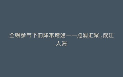 全员参与下的降本增效——点滴汇聚,成江入海