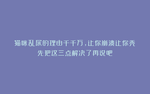 猫咪乱尿的理由千千万,让你崩溃让你秃?先把这三点解决了再说吧!