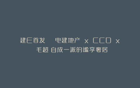 建E首发 | 电建地产 x CCD x 毛超：自成一派的谧享奢居