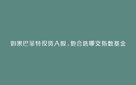 如果巴菲特投资A股,他会选哪支指数基金