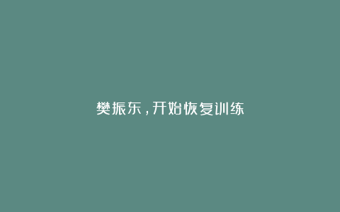 樊振东,开始恢复训练