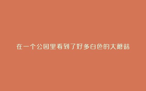 在一个公园里看到了好多白色的大蘑菇！
