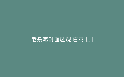老杂志封面选观(百花)01