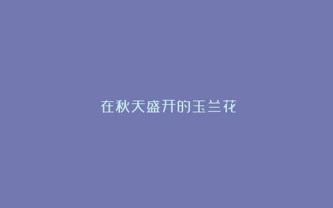 《在秋天盛开的玉兰花》