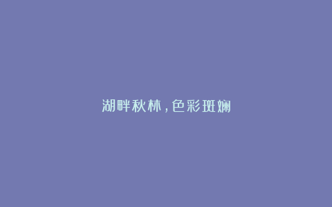 湖畔秋林，色彩斑斓