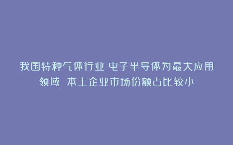 我国特种气体行业:电子半导体为最大应用领域 本土企业市场份额占比较小