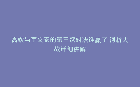 高欢与宇文泰的第三次对决谁赢了？河桥大战详细讲解